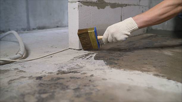 24/7 Emergency Crawl Space Encapsulation experts in Elwell, MI